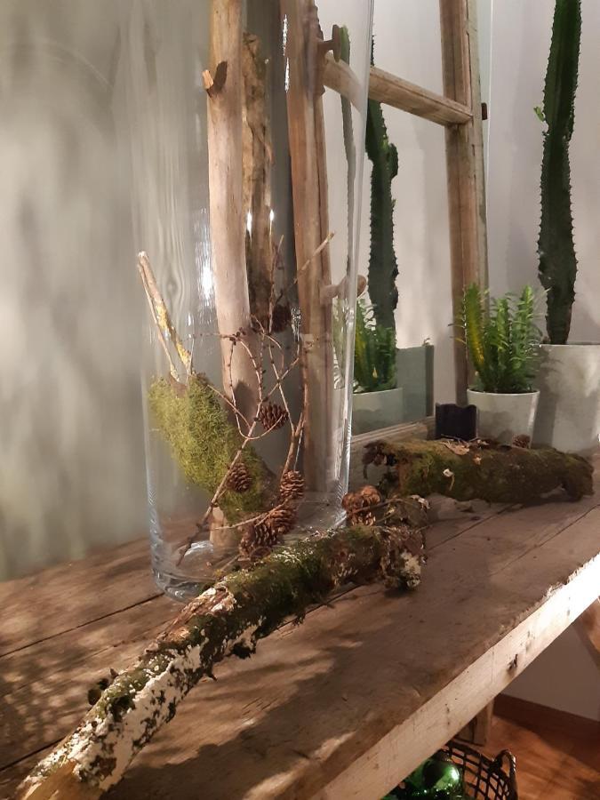 Bed & Breakfast D'hotes Herbes Folles