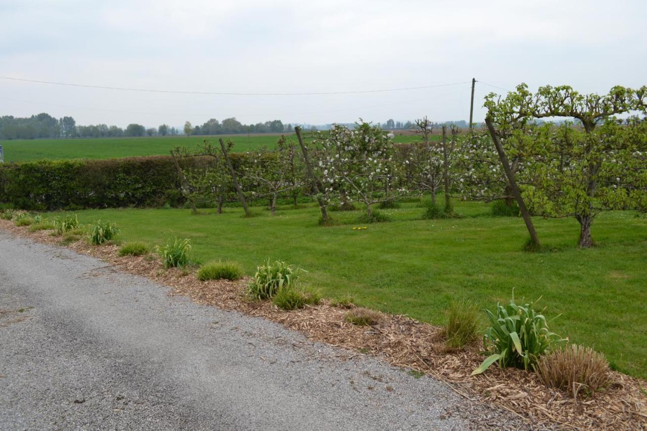 Bed & Breakfast D'hotes Herbes Folles Steenwerck